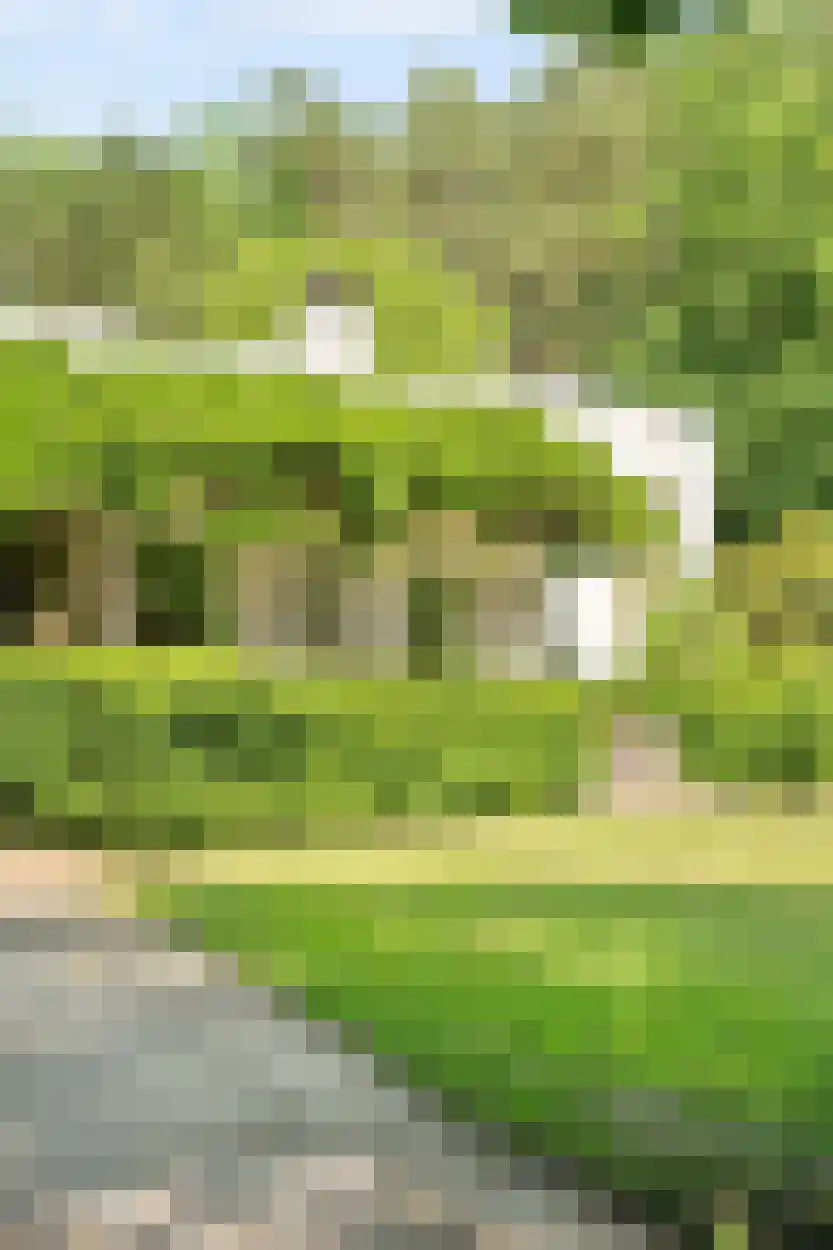 Schootsenhoek 68 Castelre thumbnail 18