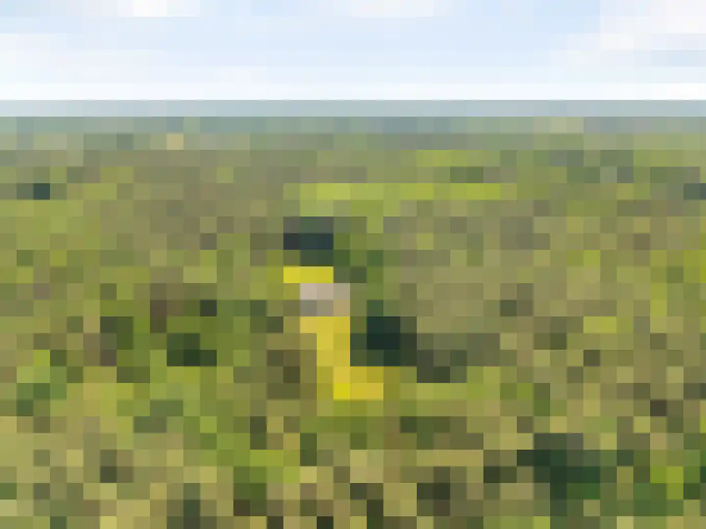 Schootsenhoek 68 Castelre thumbnail 19