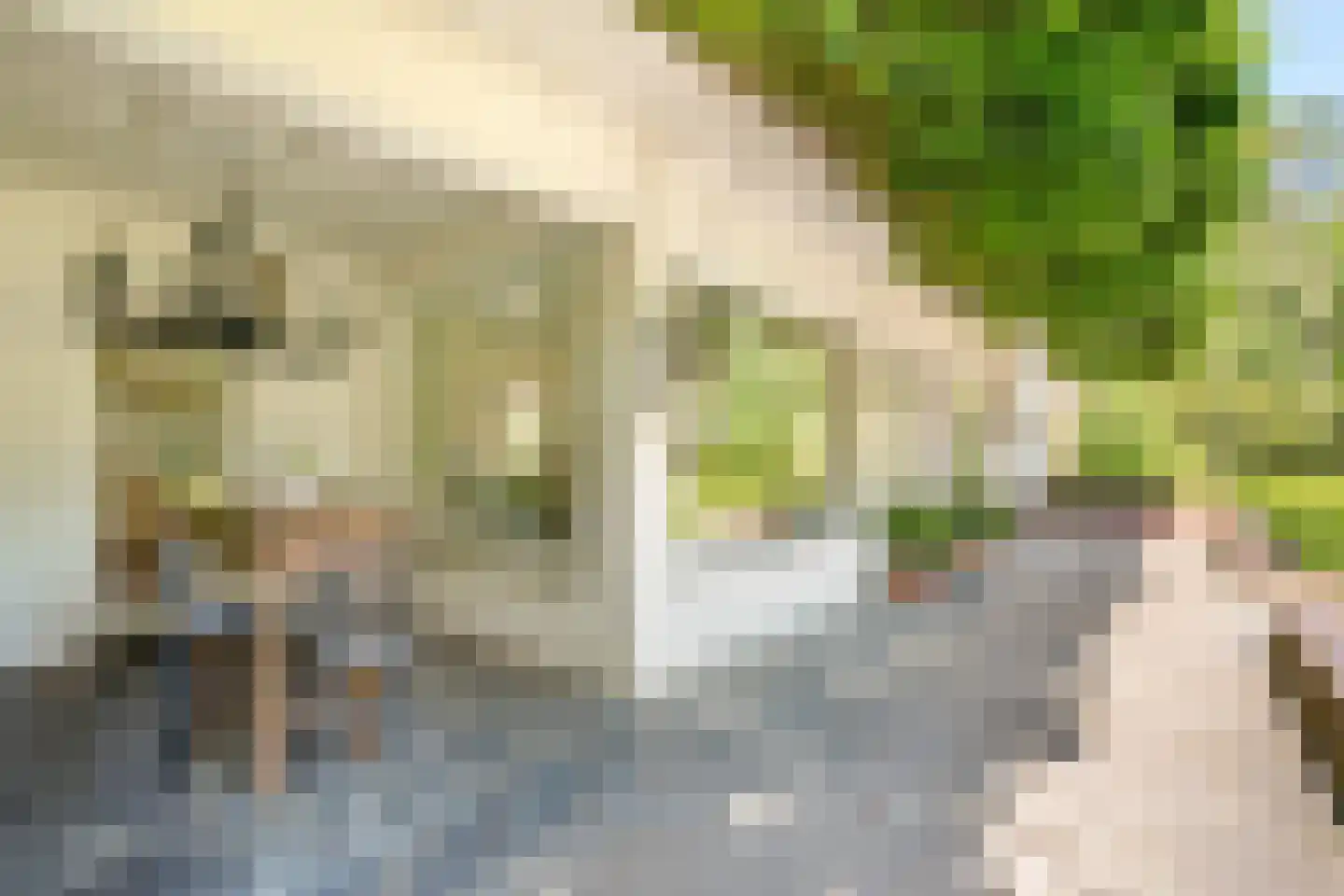 Schootsenhoek 68 Castelre thumbnail 21