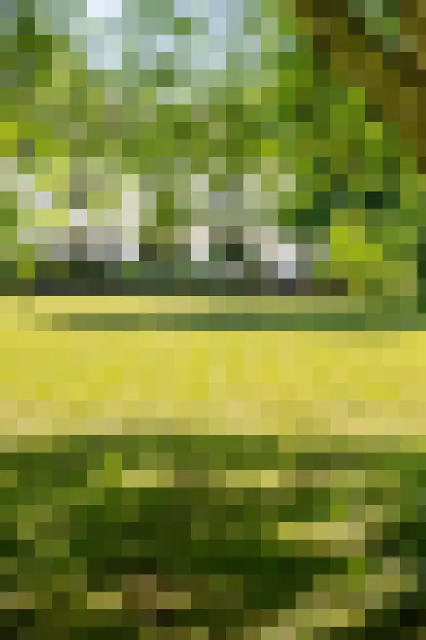 Schootsenhoek 68 Castelre thumbnail 27