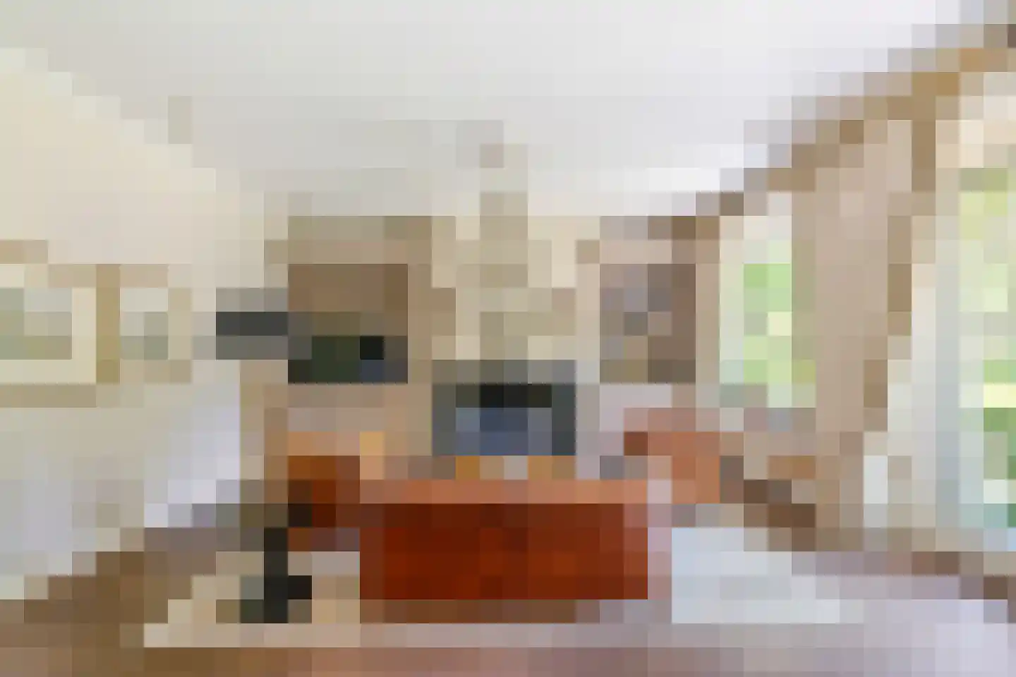 Schootsenhoek 68 Castelre thumbnail 6