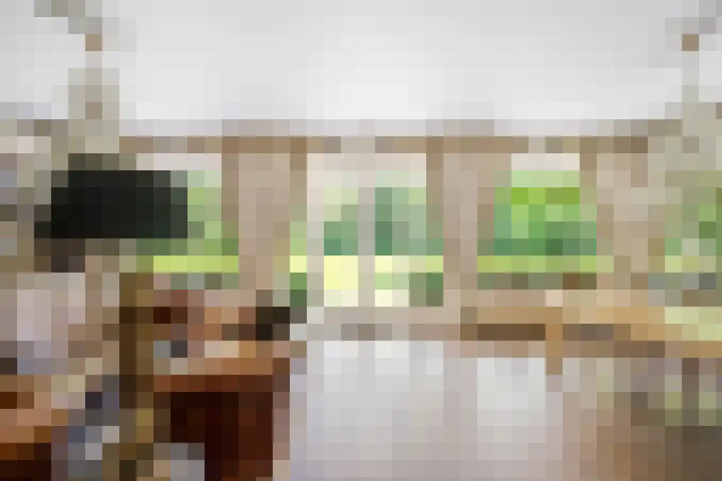 Schootsenhoek 68 Castelre thumbnail 7