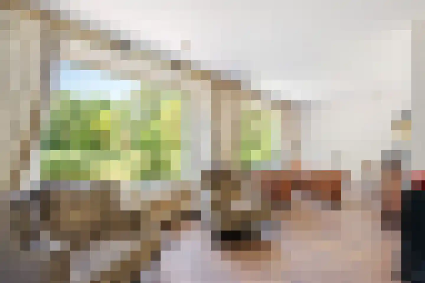 Schootsenhoek 68 Castelre thumbnail 8