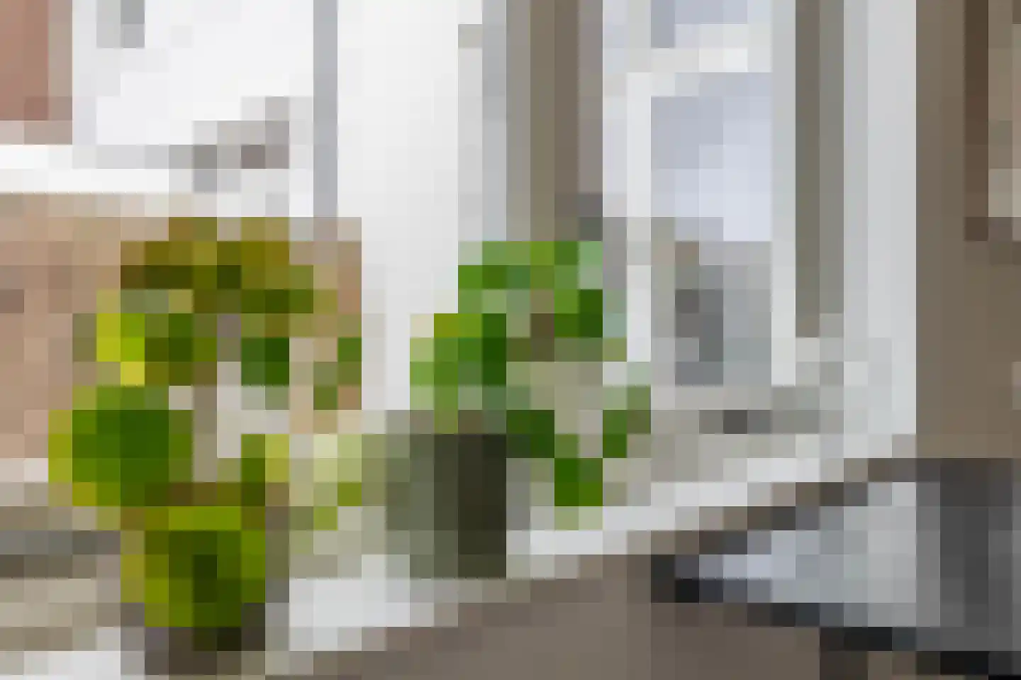 Schootsestraat 100 Eindhoven thumbnail 18