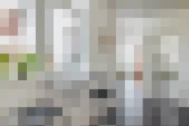 Schootsestraat 100 Eindhoven thumbnail 20