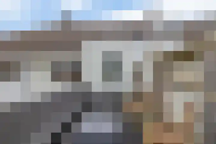 Schootsestraat 100 Eindhoven thumbnail 33