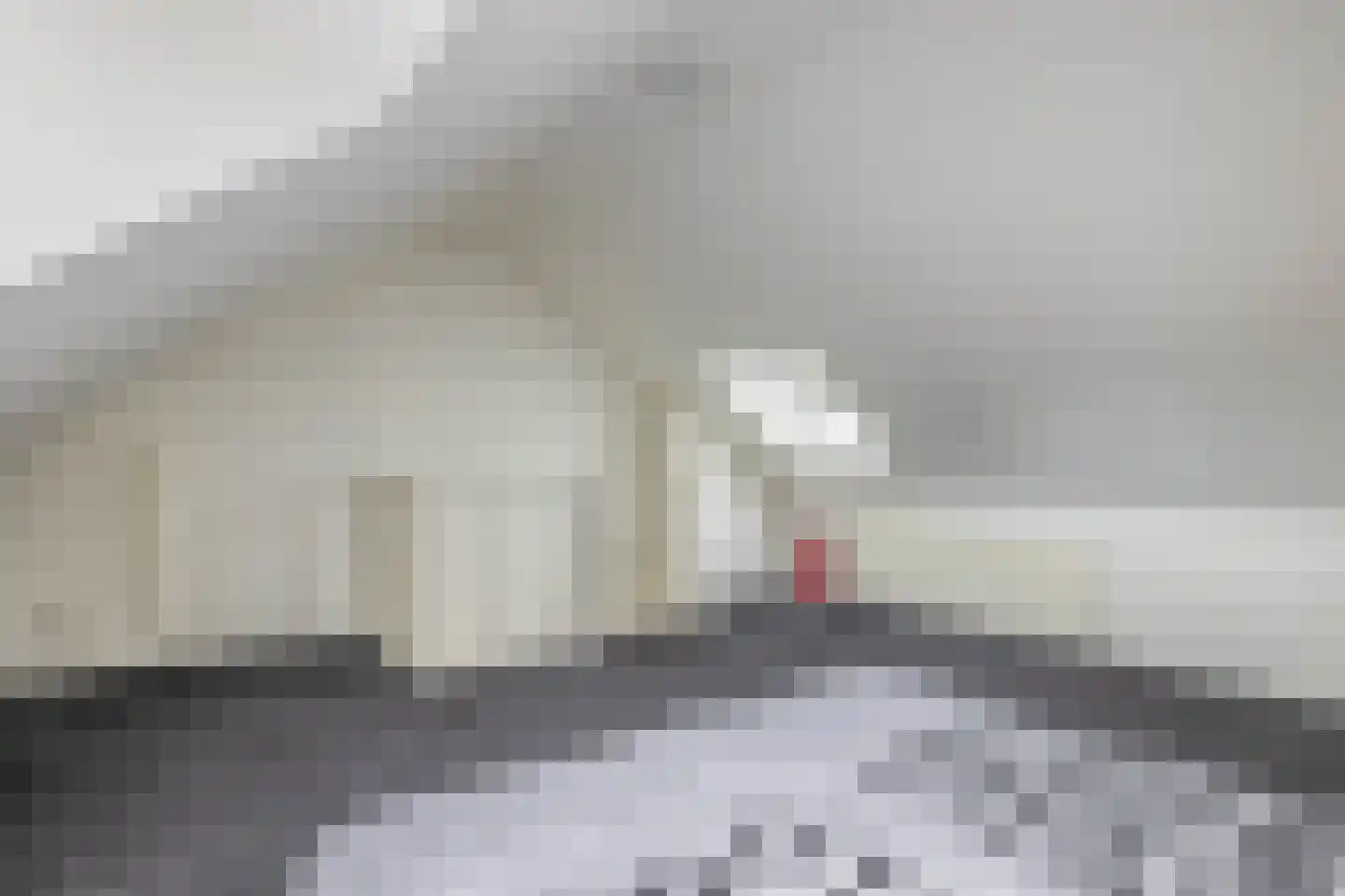 Schootsestraat 100 Eindhoven thumbnail 36