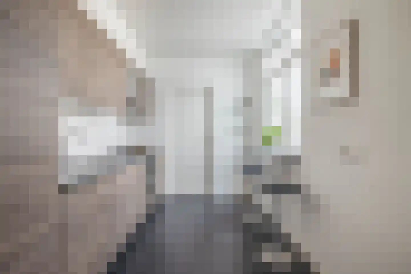 Schootsestraat 100 Eindhoven thumbnail 4