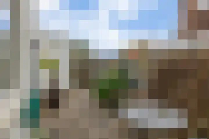 Schootsestraat 100 Eindhoven thumbnail 4