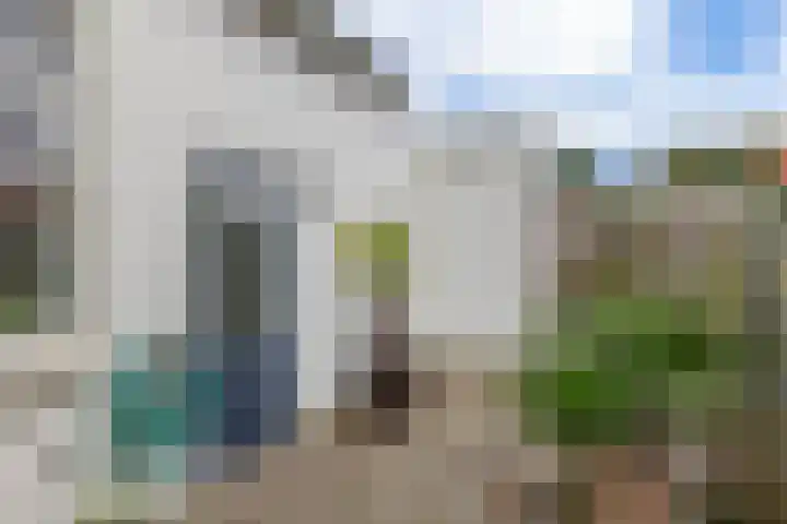 Schootsestraat 100 Eindhoven thumbnail 40
