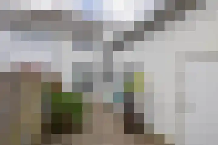 Schootsestraat 100 Eindhoven thumbnail 41