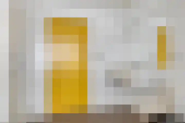 Schootsestraat 116 Eindhoven thumbnail 29