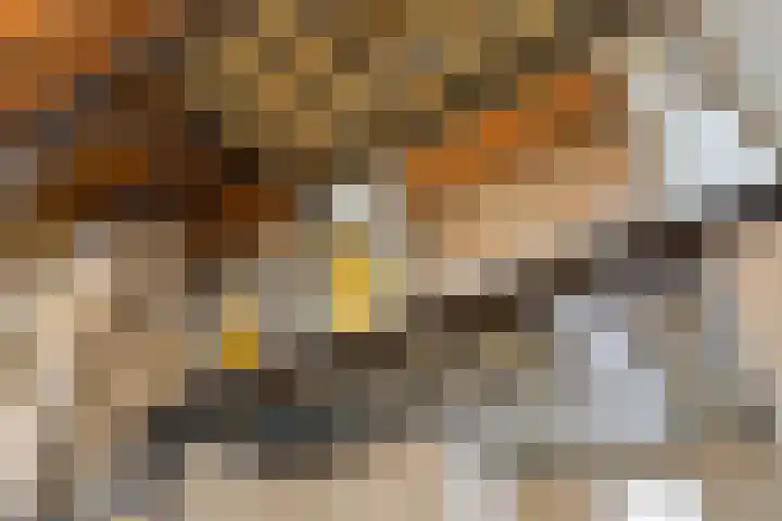 Schootsestraat 116 Eindhoven thumbnail 8