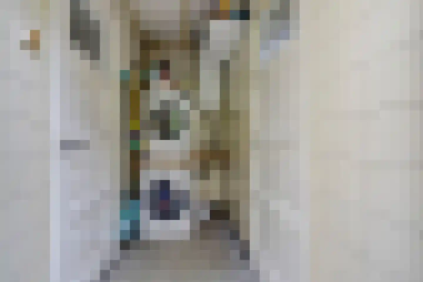 Schootsestraat 122 Eindhoven thumbnail 11