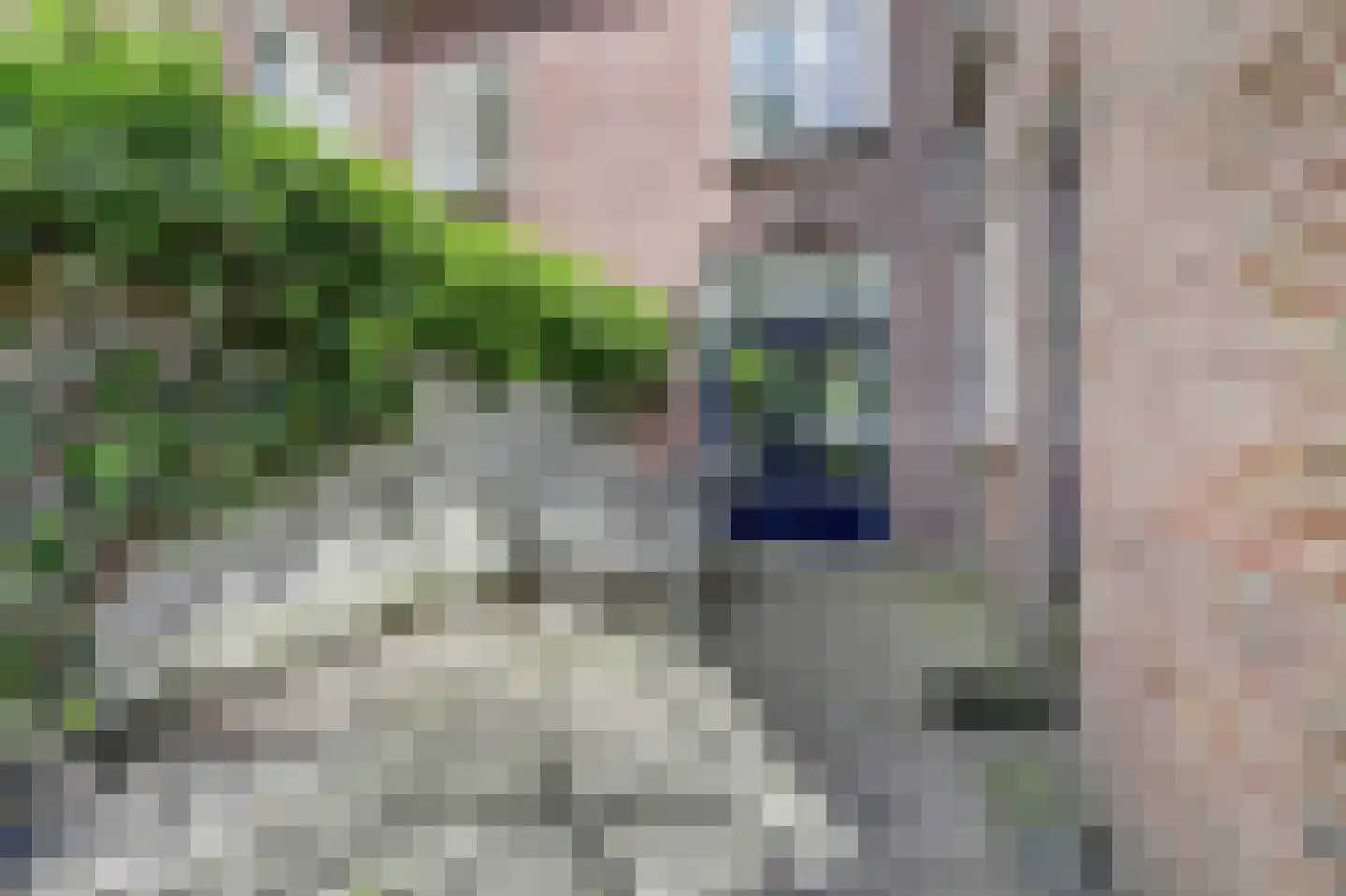 Schootsestraat 122 Eindhoven thumbnail 19