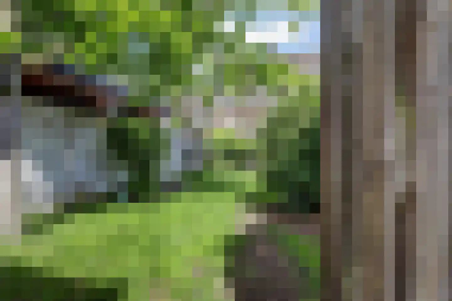 Schootsestraat 122 Eindhoven thumbnail 22