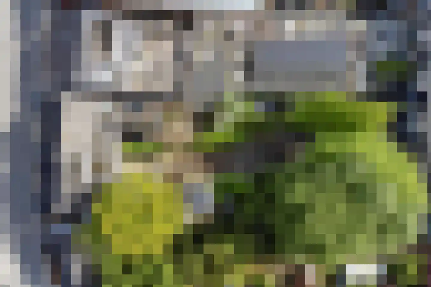 Schootsestraat 122 Eindhoven thumbnail 23