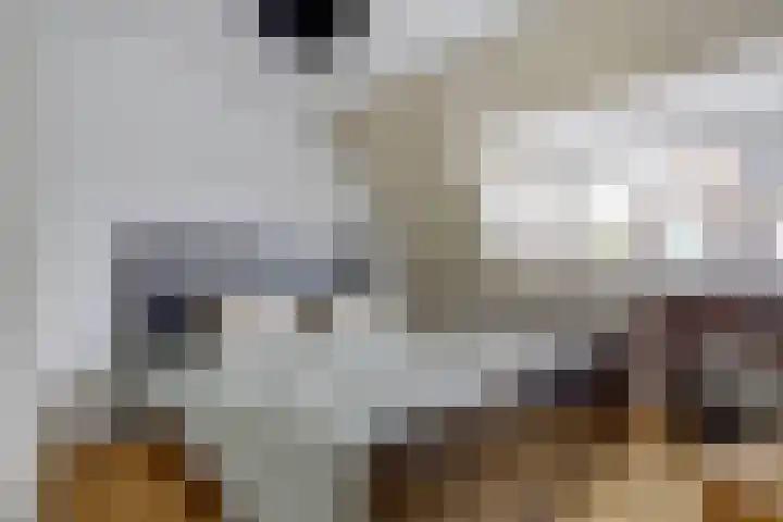Schootsestraat 124 Eindhoven thumbnail 11