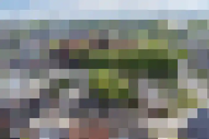 Schootsestraat 124 Eindhoven thumbnail 21