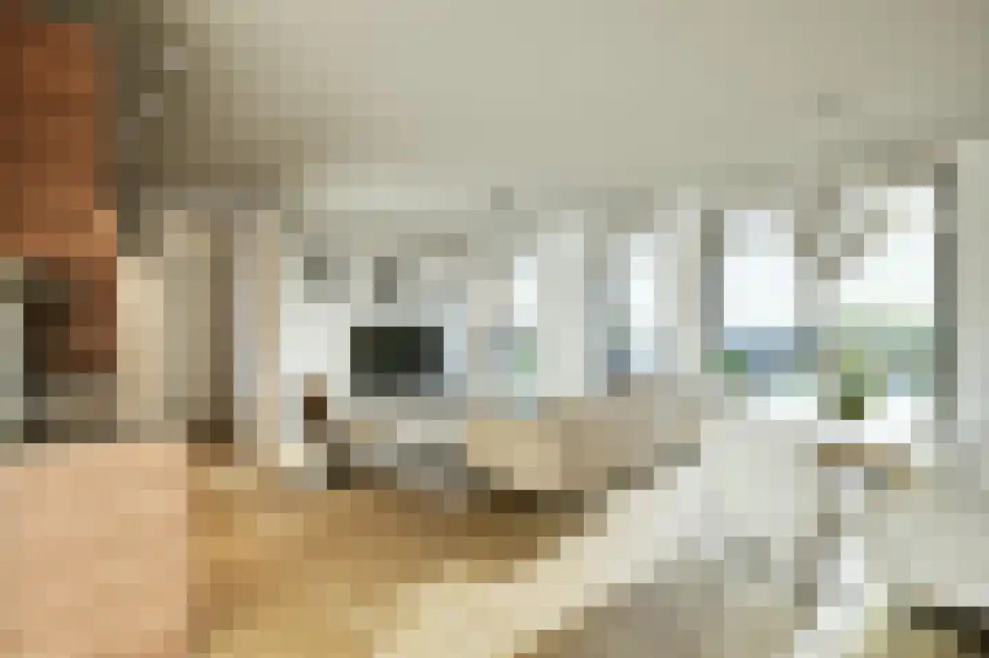 Schootsestraat 128 D Eindhoven thumbnail 5