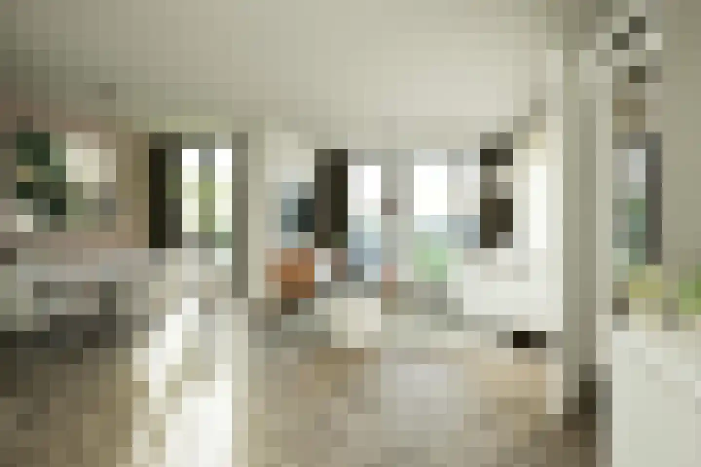 Schootsestraat 128 Eindhoven thumbnail 4