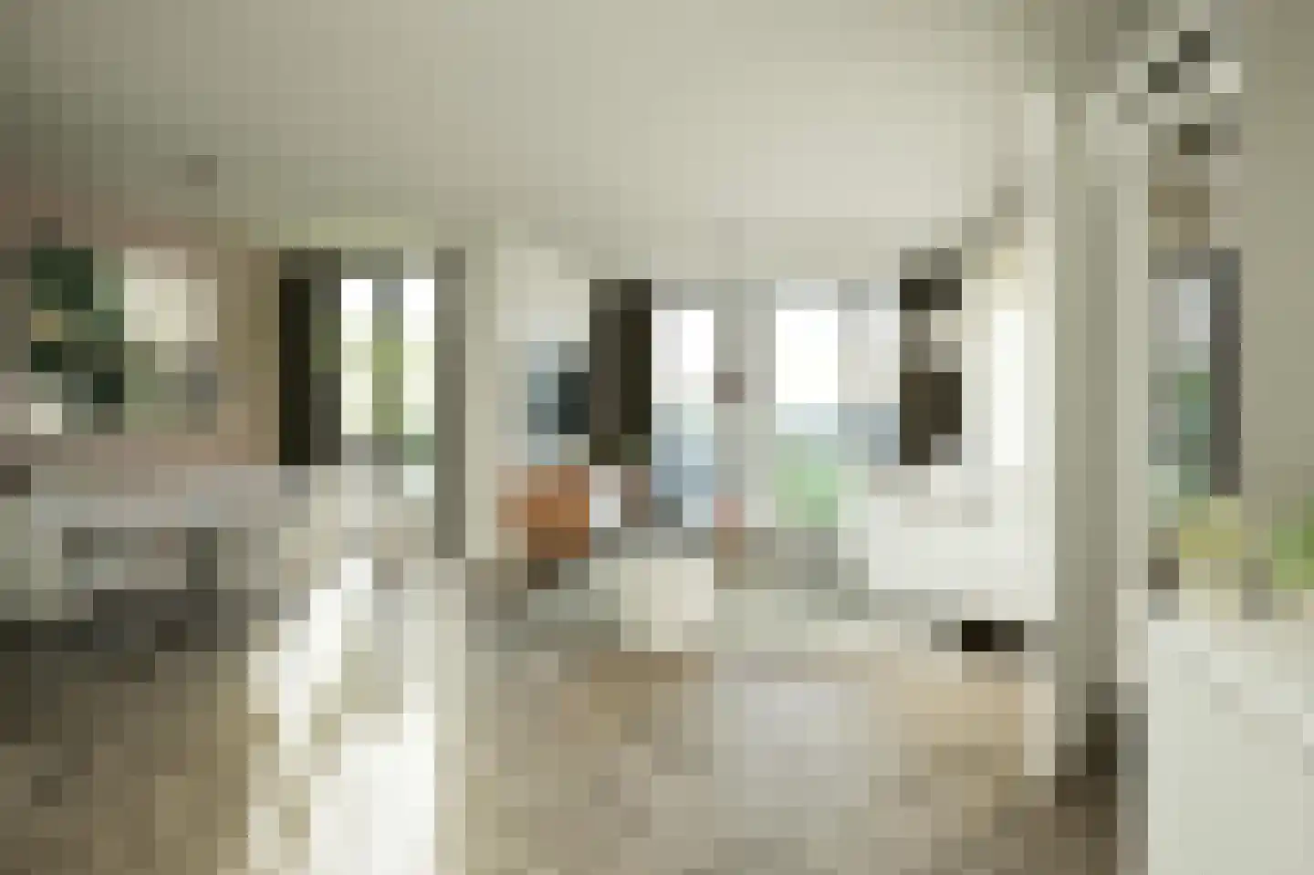 Schootsestraat 128 L Eindhoven thumbnail 4