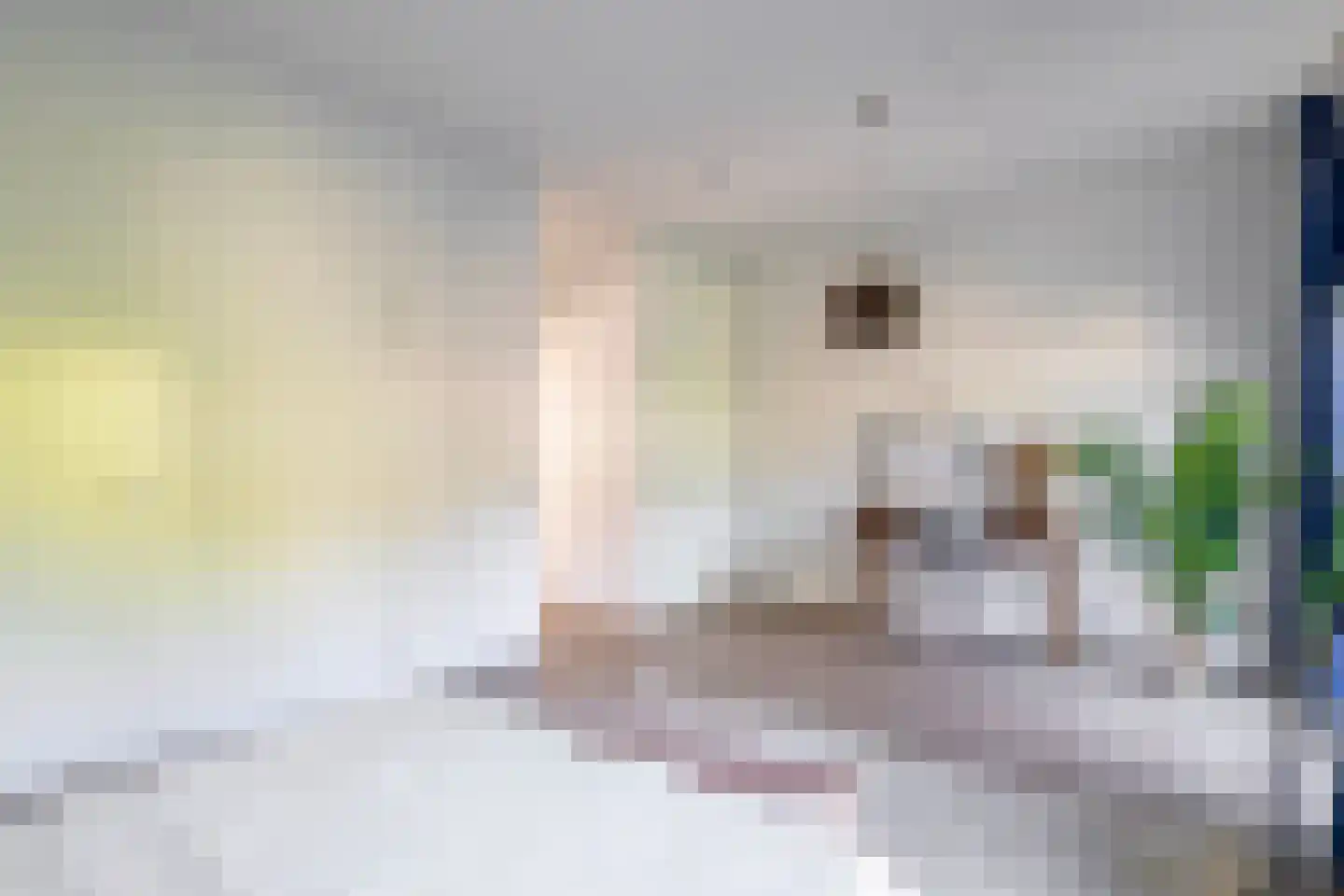 Schootsestraat 130 Eindhoven thumbnail 12