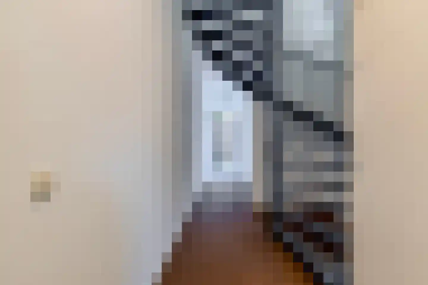 Schootsestraat 130 Eindhoven thumbnail 9