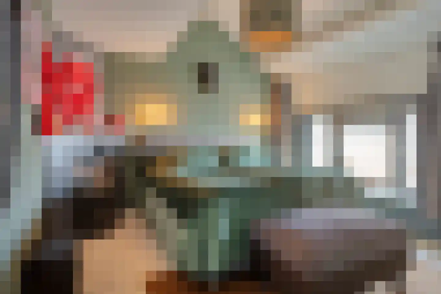 Schootsestraat 146 Eindhoven thumbnail 30