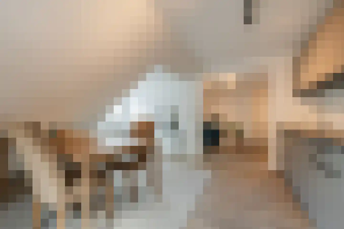 Schootsestraat 53 B Eindhoven thumbnail 13