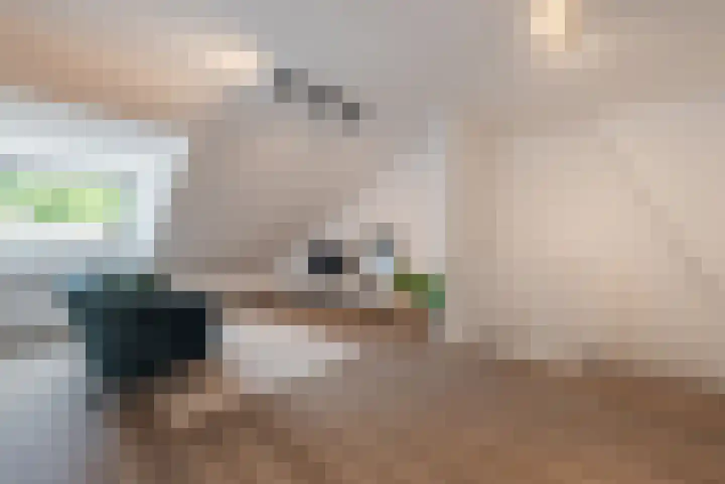 Schootsestraat 53 B Eindhoven thumbnail 8