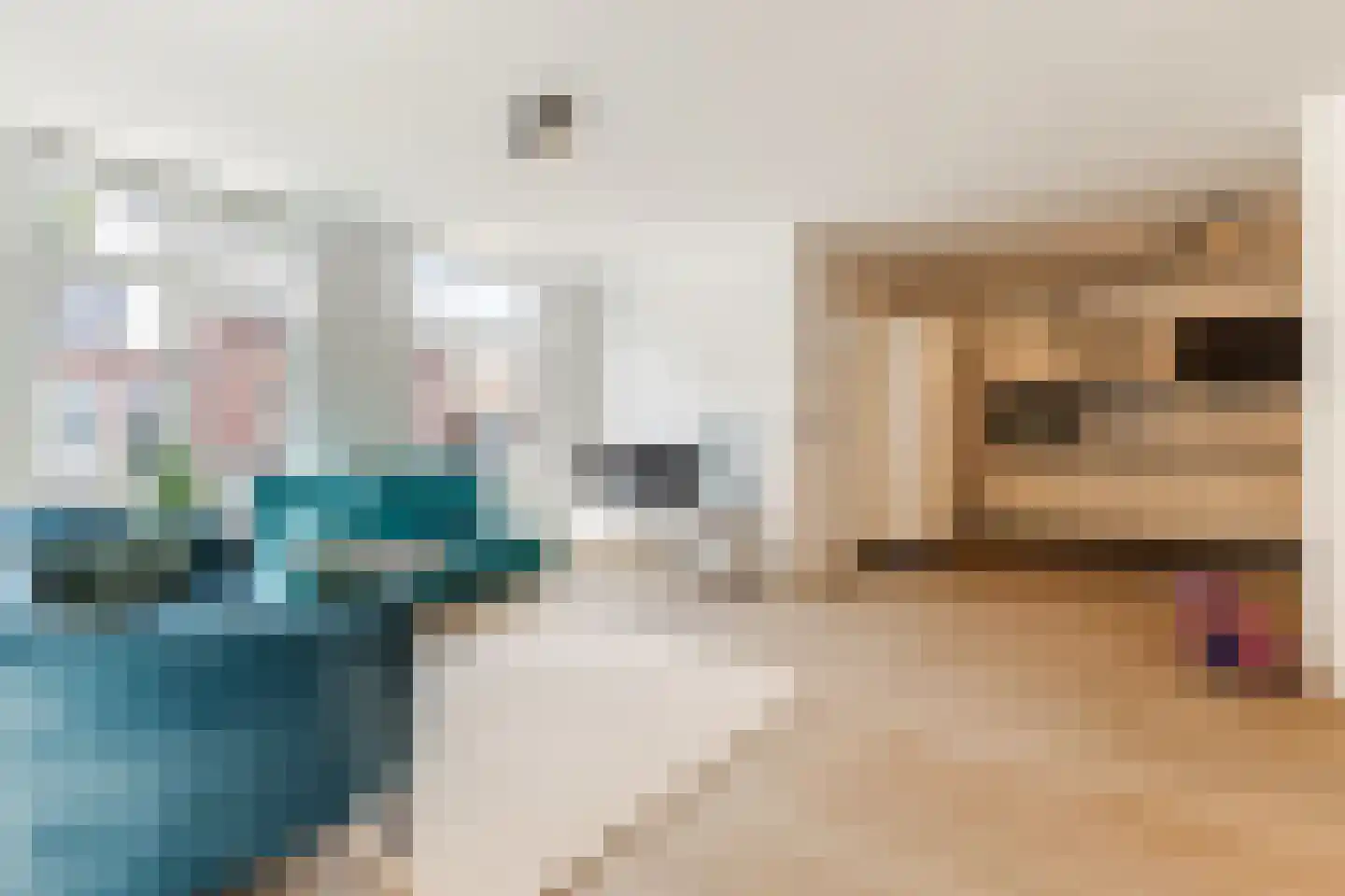 Schootsestraat 53 Eindhoven thumbnail 11