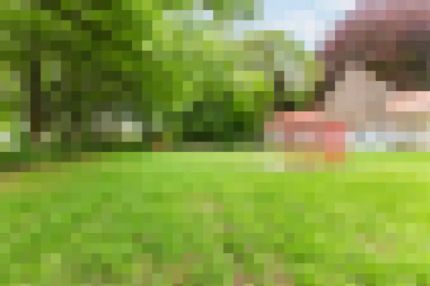 Schootsestraat 53 Eindhoven thumbnail 34