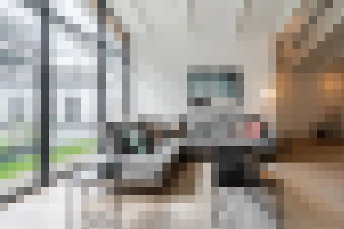 Schootsestraat 55 A Eindhoven thumbnail 13