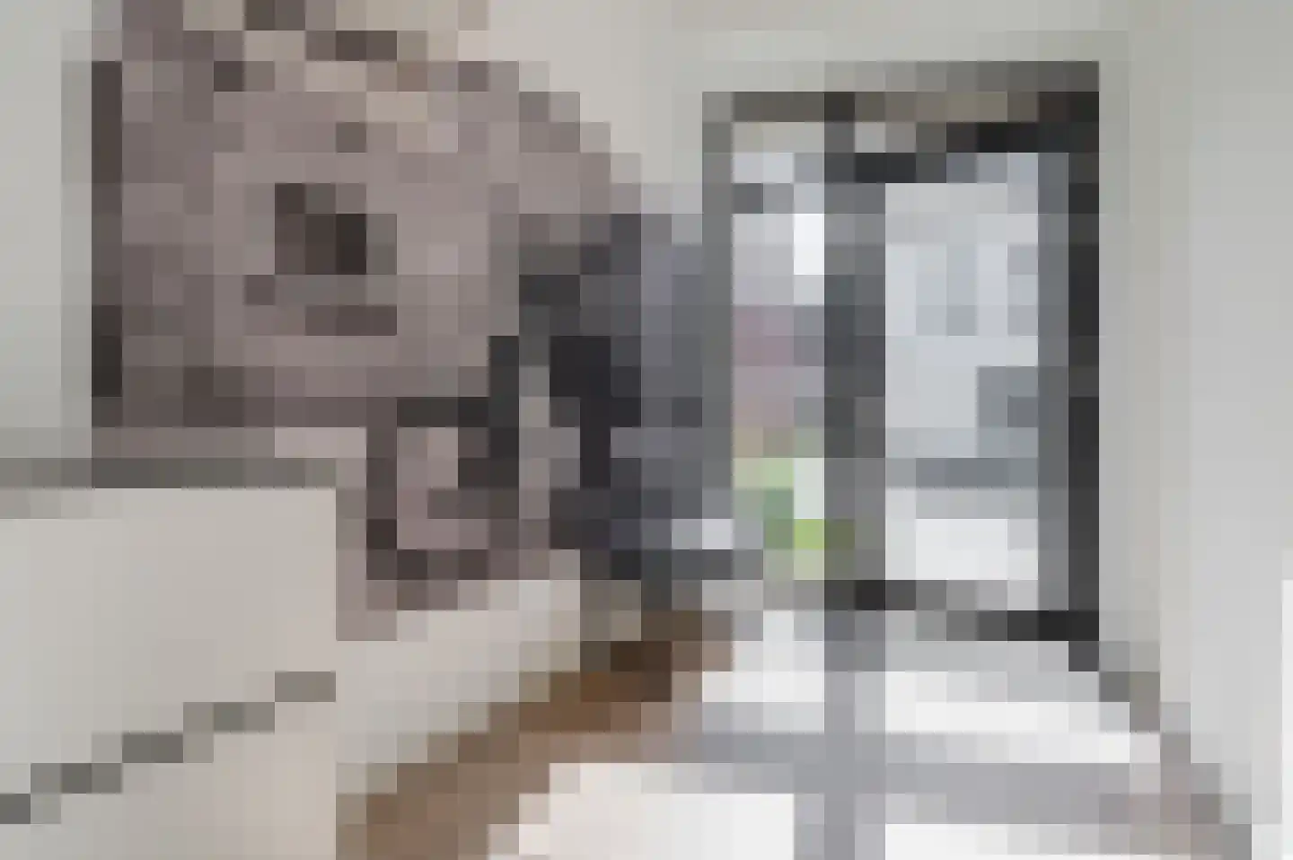 Schootsestraat 55 A Eindhoven thumbnail 31