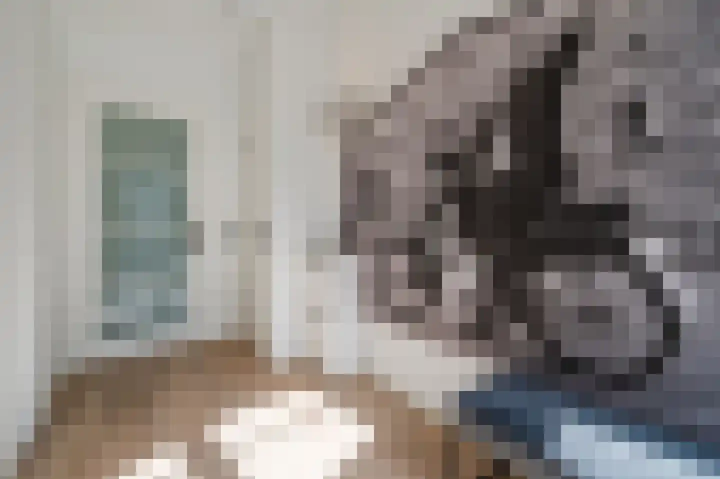 Schootsestraat 55 A Eindhoven thumbnail 32