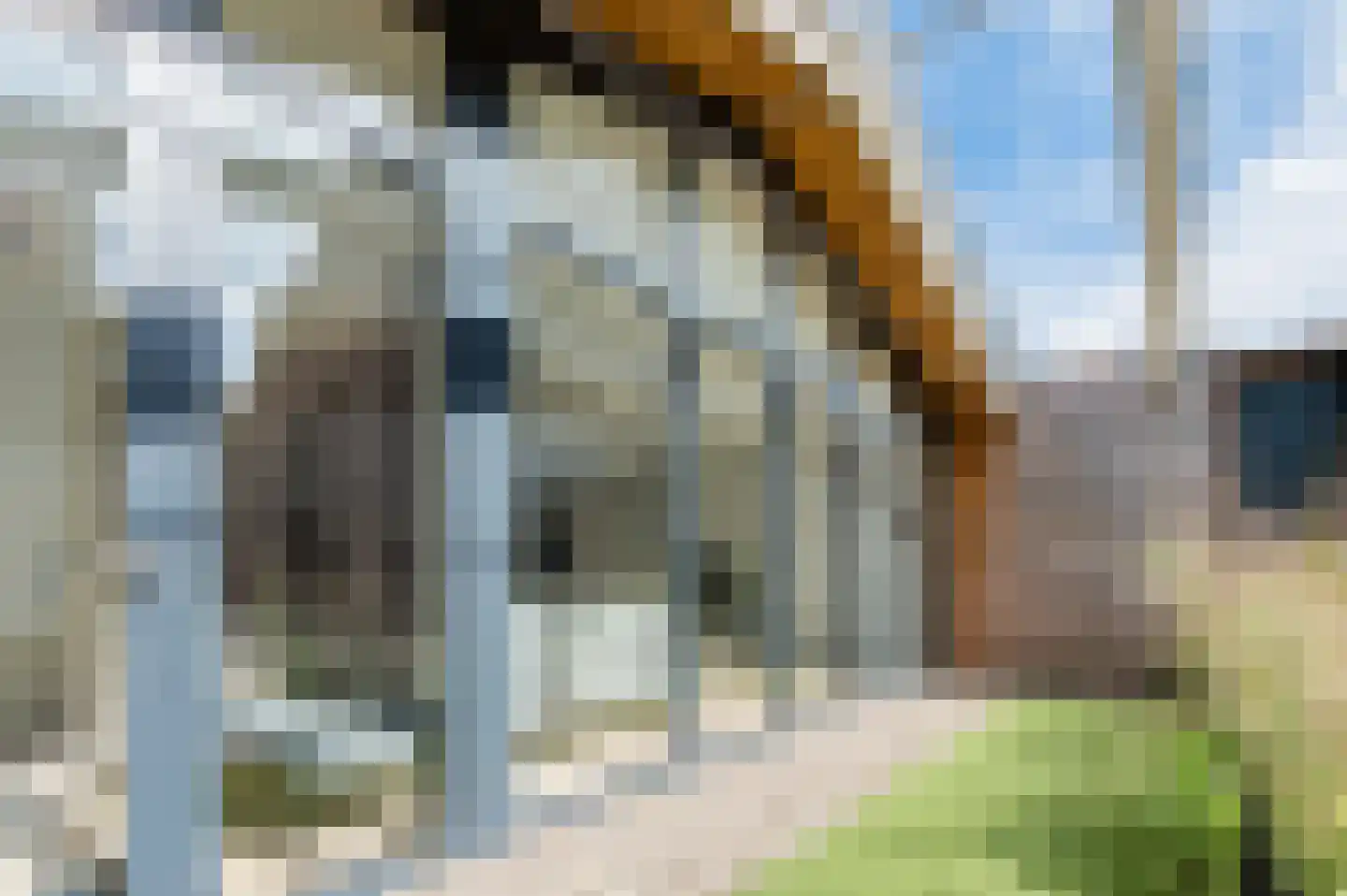 Schootsestraat 55 A Eindhoven thumbnail 7