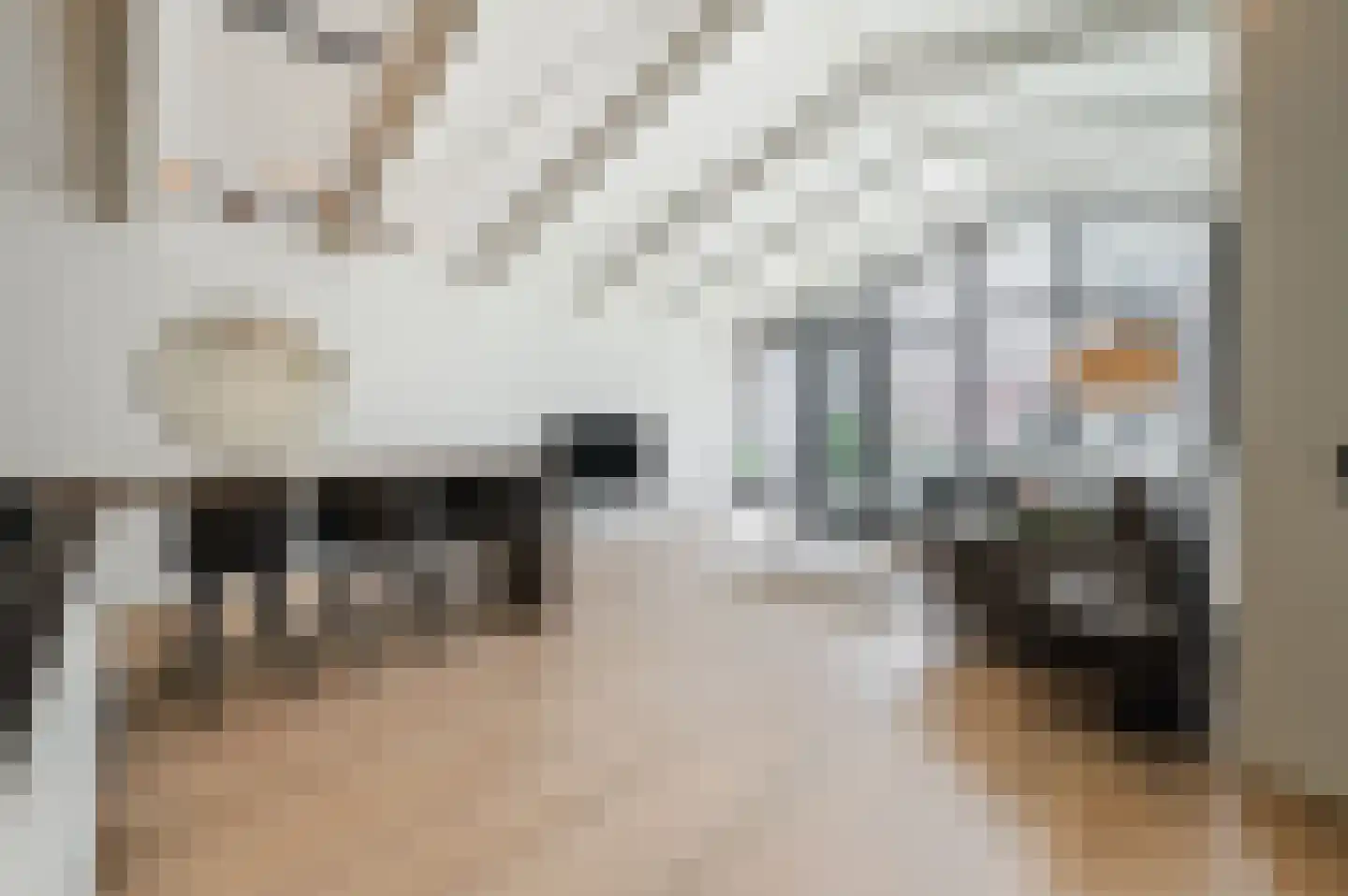 Schootsestraat 55 A Eindhoven thumbnail 8