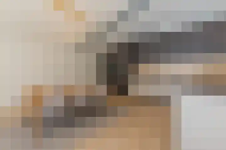 Schootsestraat 55 Eindhoven thumbnail 13