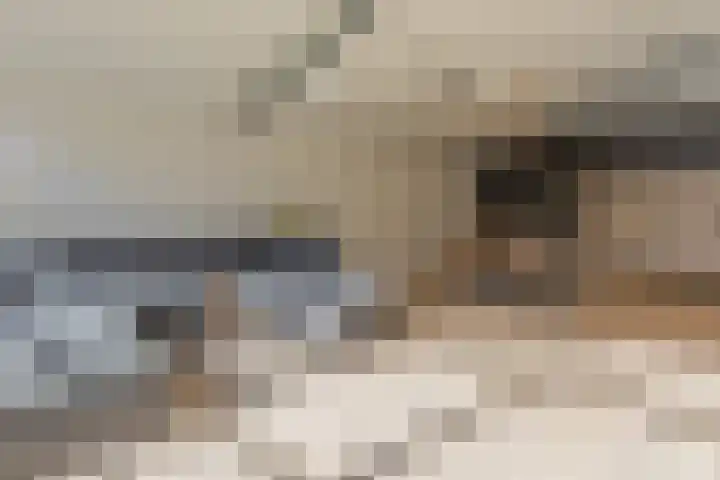 Schootsestraat 55 Eindhoven thumbnail 6