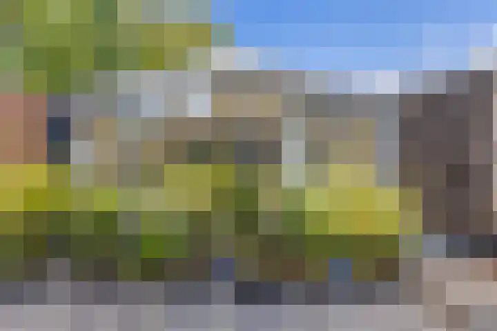Schootsestraat 55 Eindhoven thumbnail 7