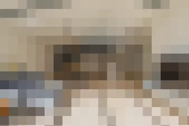 Schootsestraat 55 Eindhoven thumbnail 8