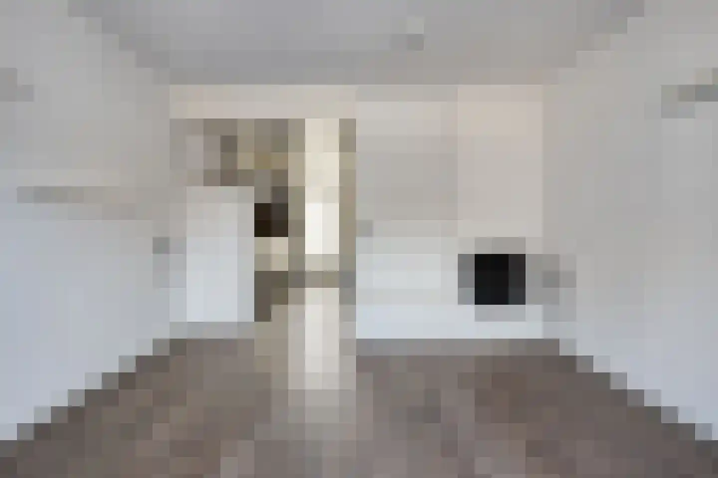 Schootsestraat 57 F Eindhoven thumbnail 12
