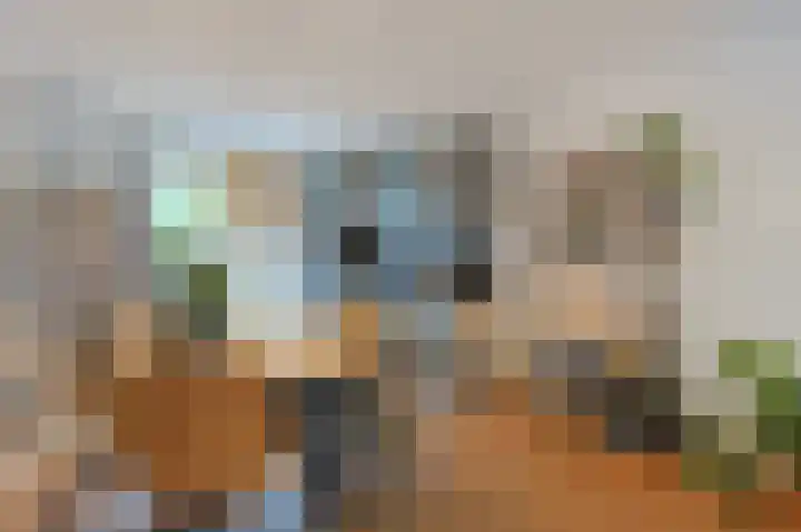 Schootsestraat 70 Eindhoven thumbnail 11