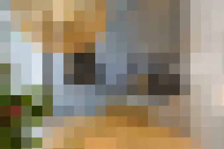 Schootsestraat 70 Eindhoven thumbnail 13