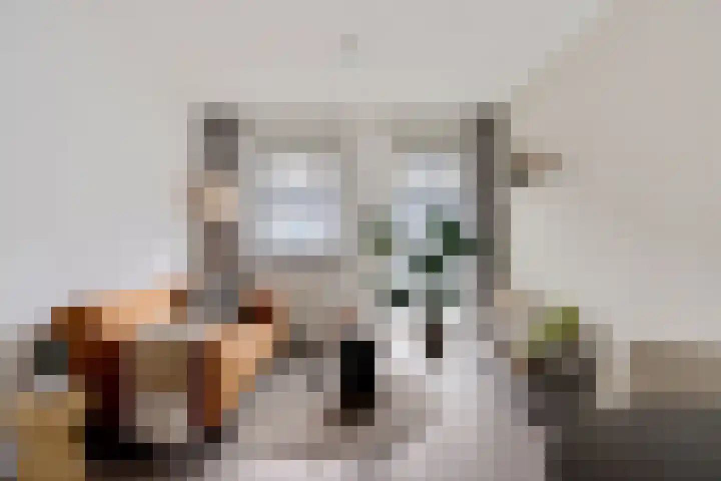 Schootsestraat 73 07 Eindhoven thumbnail 8