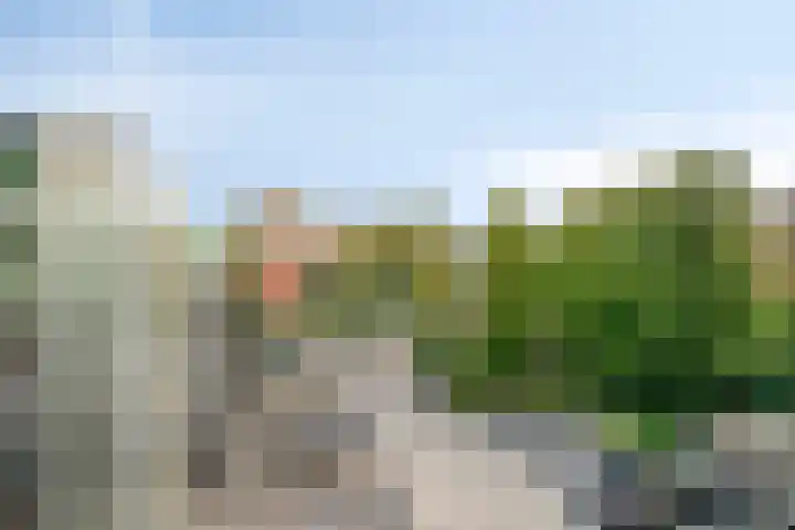 Schootsestraat 73 21 Eindhoven thumbnail 10