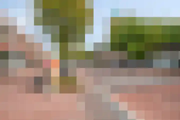 Schootsestraat 73 21 Eindhoven thumbnail 27