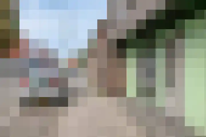 Schootsestraat 73 21 Eindhoven thumbnail 5