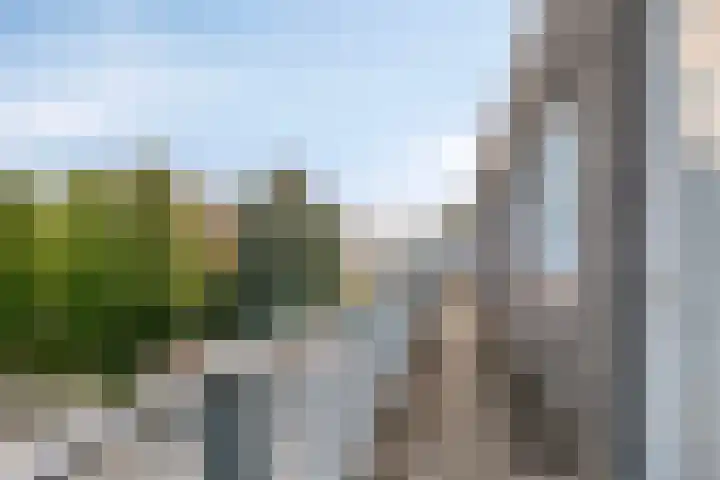 Schootsestraat 73 21 Eindhoven thumbnail 8